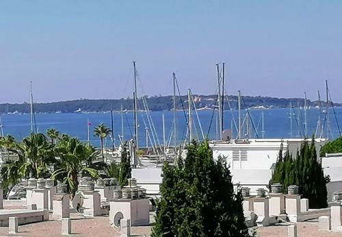 Apartamento Appartement 1 Pi�ce Front De Mer