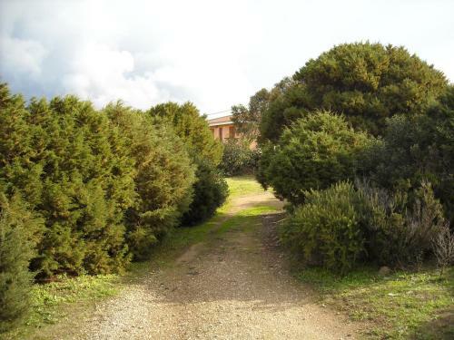 Agroturismo Agriturismo Depalmas