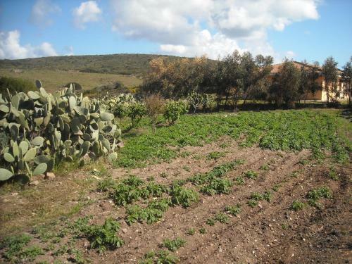Agroturismo Agriturismo Depalmas