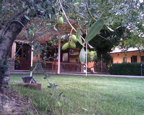Agroturismo Le Spighe Agriturismo