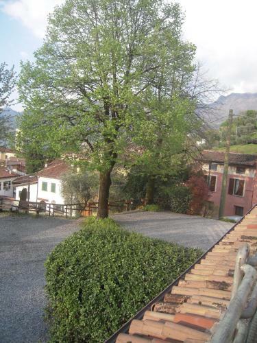 Bed & Breakfast Uliveto