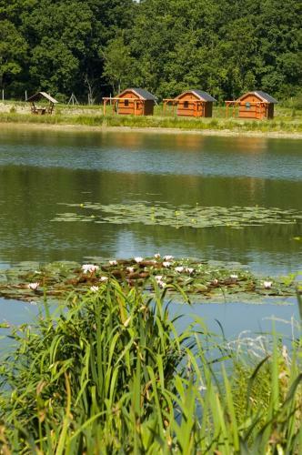 Gosztola Gy�ngye Wellness Hotel