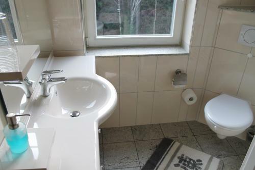 Hotel Steinerne Renne