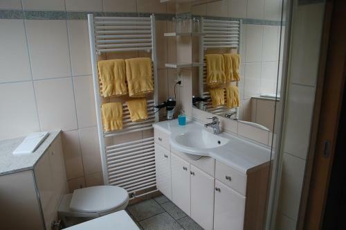 Hotel Steinerne Renne