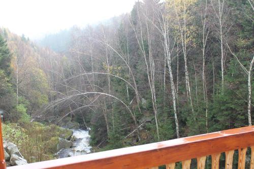 Hotel Steinerne Renne