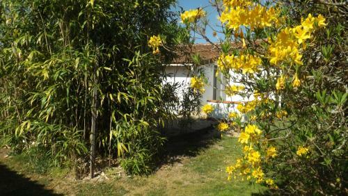 Breesfalt Gite Accomodation