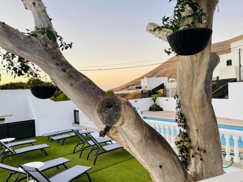 Hotel B&B Ga7colores Only Adult