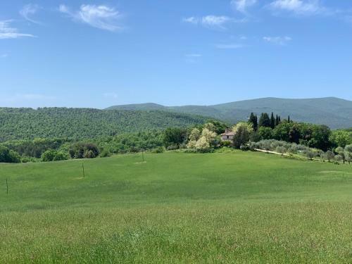 Agroturismo Fattoria Lornano Winery