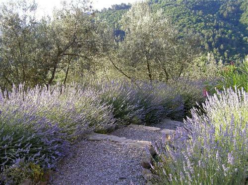 Apartamento Ventena Vecchia Antico Frantoio