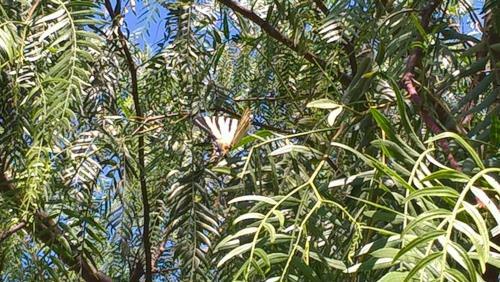 Agroturismo Country House Torrenera