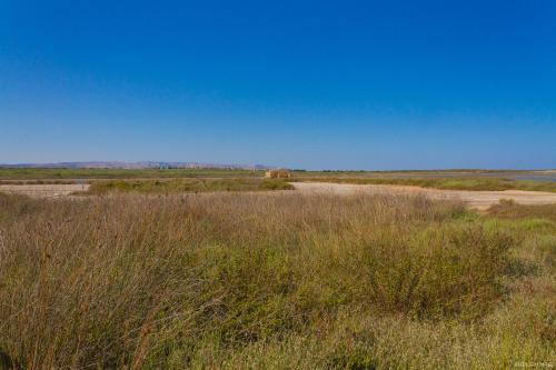 Bed & Breakfast La Madonnina