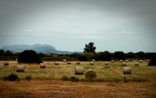 Bed & Breakfast Nacchinono