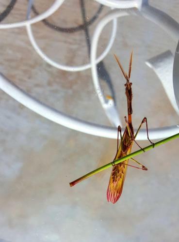 Bed & Breakfast Nacchinono