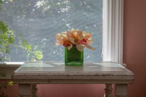 The Dahlia Cottage