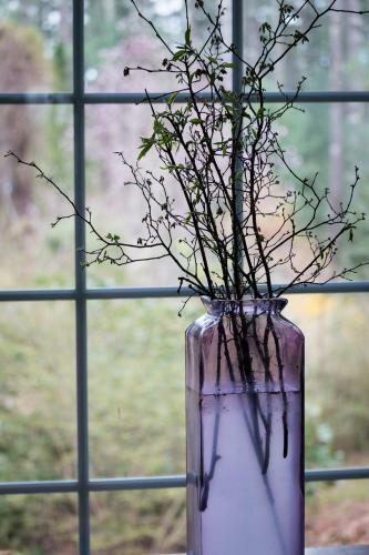 The Dahlia Cottage