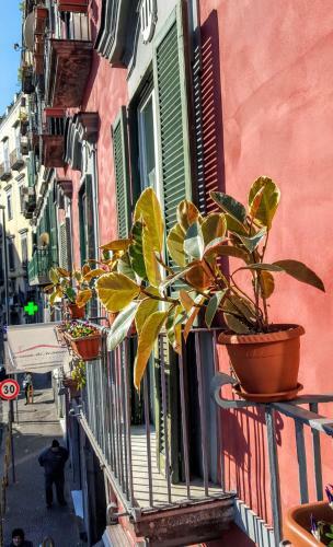 Bed & Breakfast A Casa Di Mamma