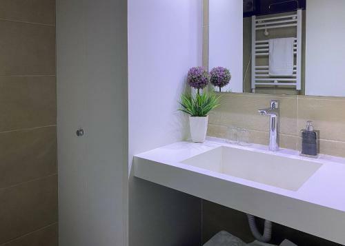 Apartaments Y Habitacions Entre Volcans