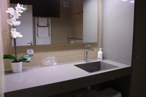 Apartaments Y Habitacions Entre Volcans