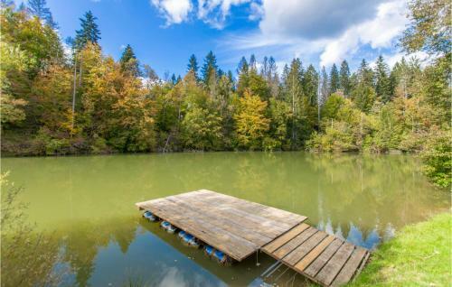 Beautiful Home In Kocevska Reka With 4 Bedrooms
