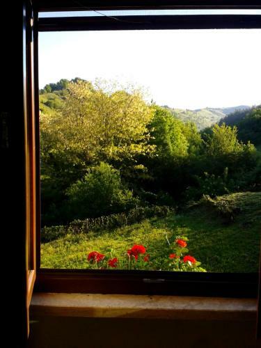 Agroturismo Agriturismo Il Casale Pica