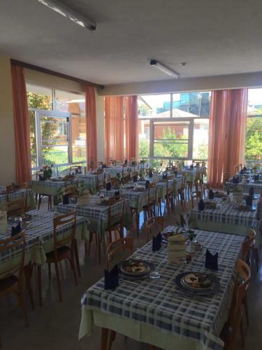 Hotel Alfa
