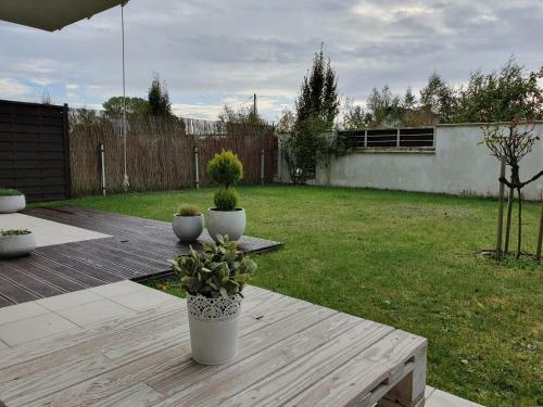 Apartament Z Ogrodem - Pot?gowska