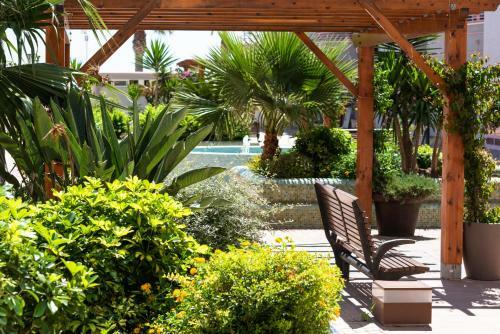 Apartamentos Nuevo M�xico C 452
