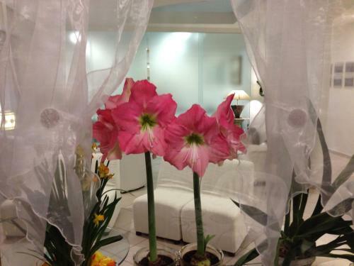 Noidue Hotel