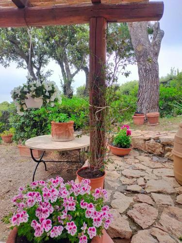 Apartamento Panorama Mozzafiato Argentario - Cala Piccola