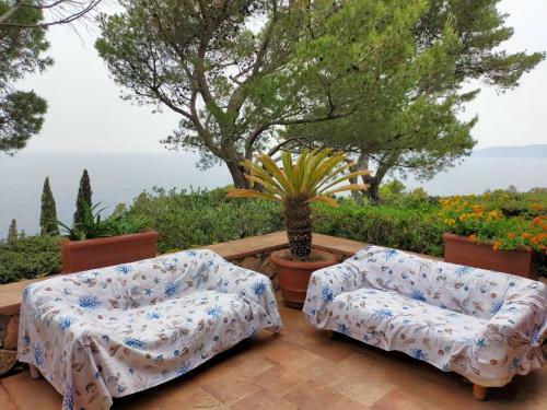 Apartamento Panorama Mozzafiato Argentario - Cala Piccola