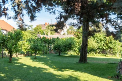 N�-ko Apartmanh�z