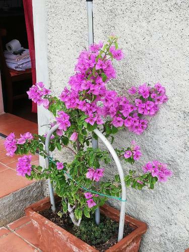 Apartamento Suara Affitti - Bike