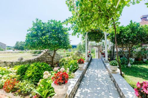 Apartment Antea