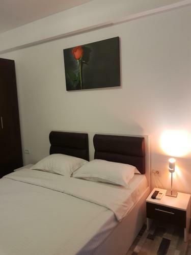 Apartament Mirobolant