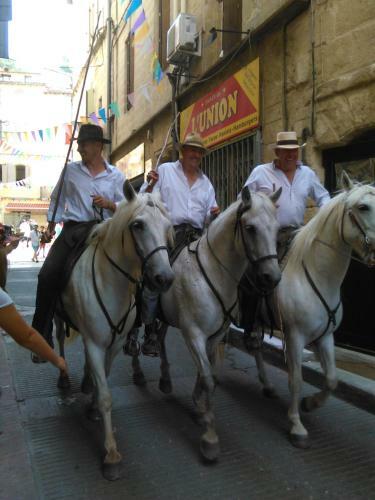 Camargue