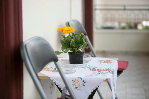 Apartamento Nick N Sophie's