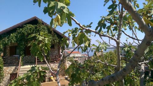 Apartman Knezevic