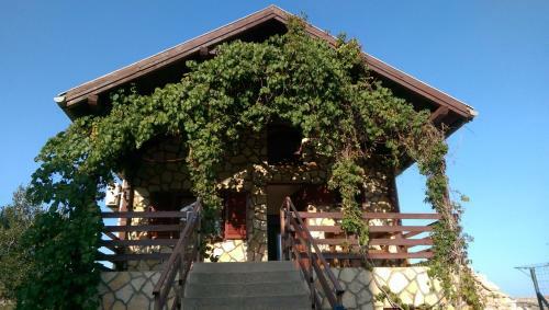 Apartman Knezevic