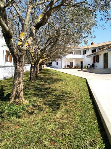 Apartman Ulika