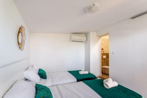 Casa Di Oliva-villa With Private Pool In Nature, Dalmatia