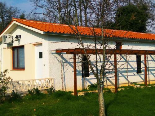 Holiday Homes Alara&simba