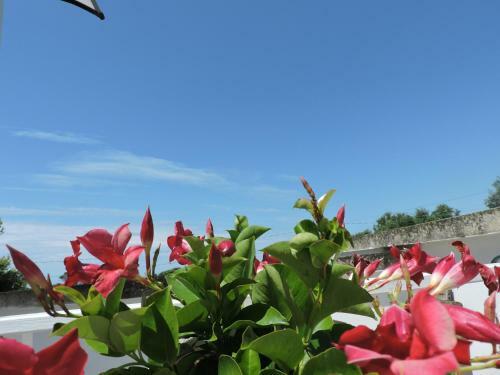 Bed & Breakfast Sogno Mediterraneo