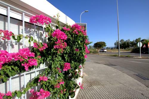 Apartamento Mar de L'est 450 M de La Playa Con Piscina