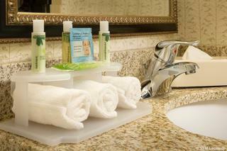 Hotel Holiday Inn Express Fairfax-arlington Boulevard