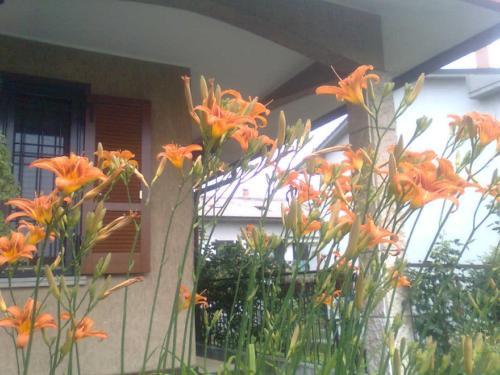 Le Magnolie B&B