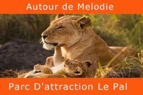 Hostal M�lodie Lumineuse Et Spacieuse � 6km Du Pal