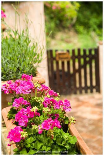 Apartamento Casa Vacanza Francesca #12