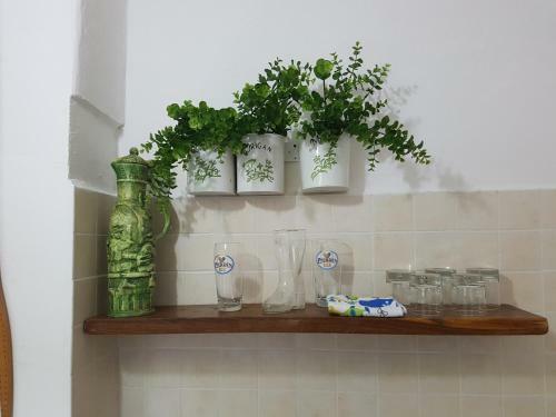 Bed & Breakfast Carugio Del Fezzano