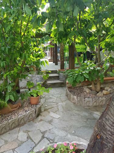 Bed & Breakfast Carugio Del Fezzano