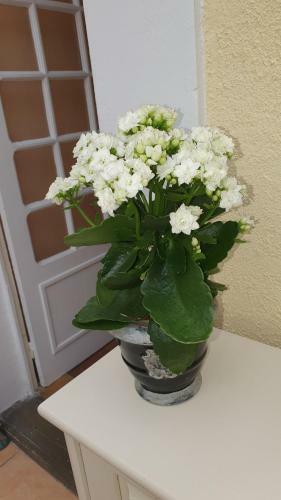 Bed & Breakfast La Maison D`h�tes De Constance